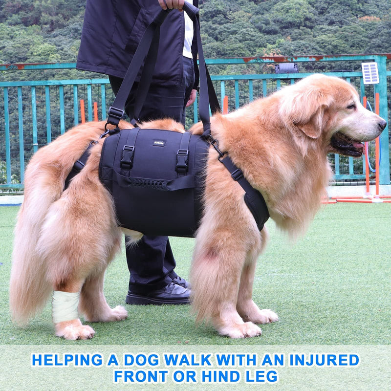 HKM-6509629 Outdoor Dog Harness with Leg Support and Oxford Fabric for Rehabilitation