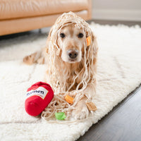 HKM-6511165 Ramen Smell Interactive Pet Toy for Engaging Playtime and Fun