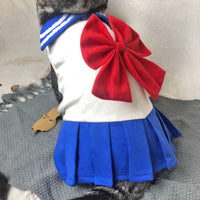 HKM-6516669 Stylish Spring and Summer Cat Clothes in Blue and Pink