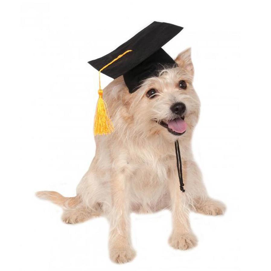HKM-651923 Pet Graduation Cap with Yellow Tassel for Dogs - Black Cloth Design, One Size Fits All