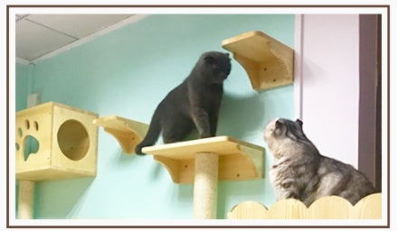 HKM-6525117 Wall-Mounted Solid Wood Cat Litter Box - Available in Two Sizes