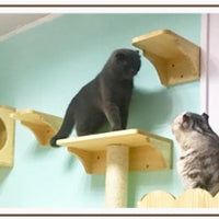 HKM-6525117 Wall-Mounted Solid Wood Cat Litter Box - Available in Two Sizes