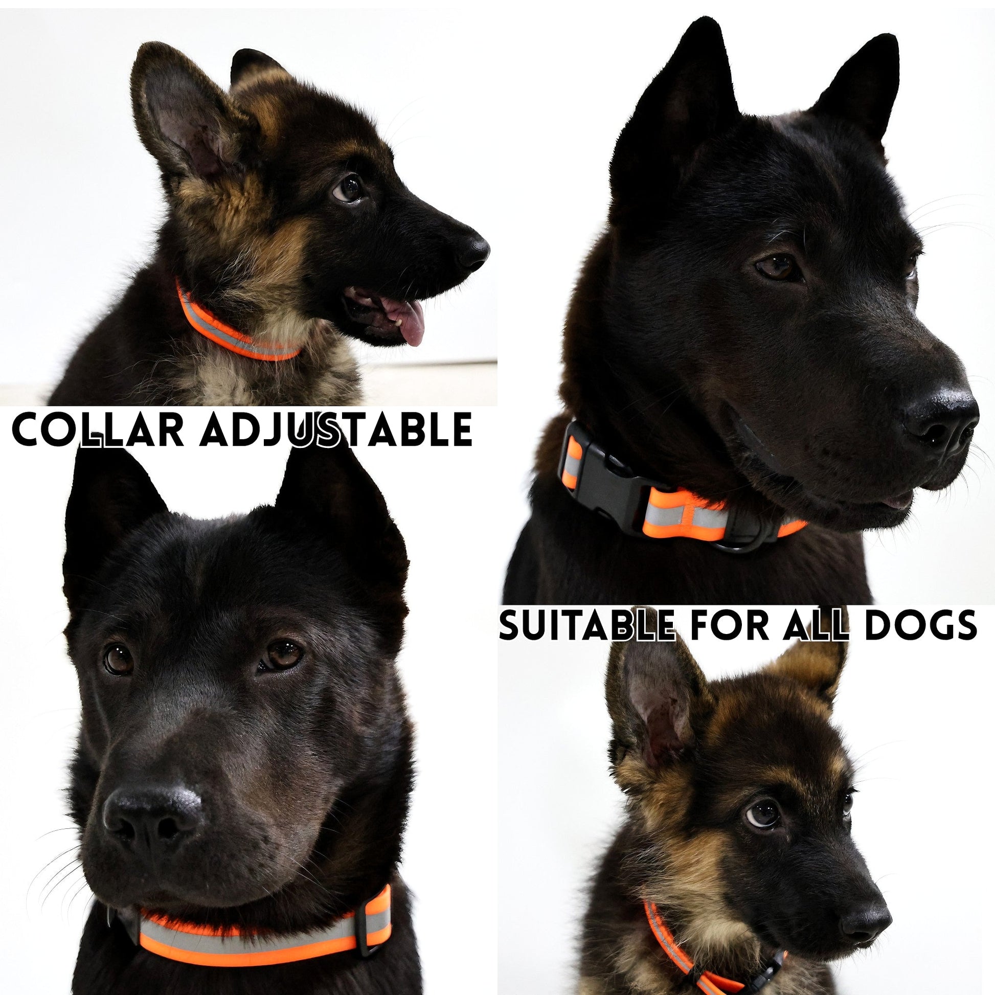 HKM-6525629 Reflective Dog Leash Set with Waterproof and Odor-Resistant Material for Enhanced Nighttime Visibility