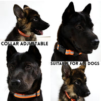 HKM-6525629 Reflective Dog Leash Set with Waterproof and Odor-Resistant Material for Enhanced Nighttime Visibility