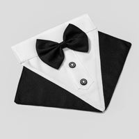 HKM-6529597 Stylish Pet Collar Triangle Scarf - Black/White, Blue/White, Red/Black, Blue/Black, Polyester