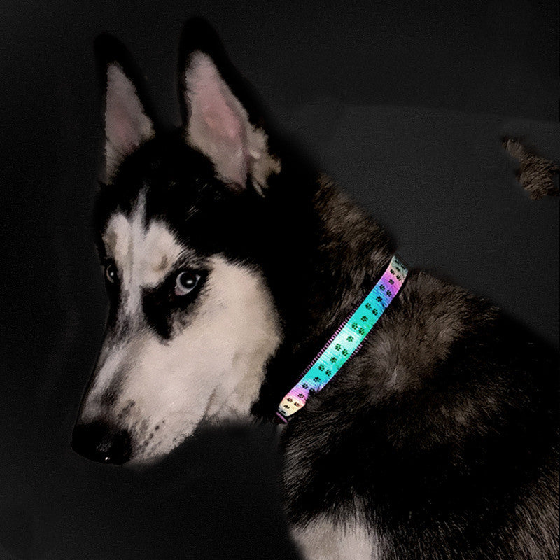 HKM-6530877 Reflective Holographic Dog Leash, Durable Nylon Webbing in Purple, Orange, or Black