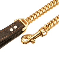 HKM-6531389 Stainless Steel Dog Leash with Leather Collar for Large and Small Breeds 14mm Width