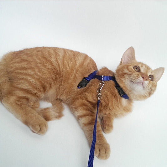 HKM-653203 Cat Chest Sling Set with 1.2m Nylon Leash for Safe Outdoor Adventures