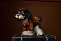 HKM-6532157 Brown Retro Style Long Sleeve PU Leather Coat for Schnauzer and Bichon Pets