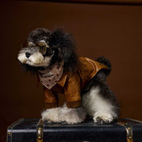 HKM-6532157 Brown Retro Style Long Sleeve PU Leather Coat for Schnauzer and Bichon Pets