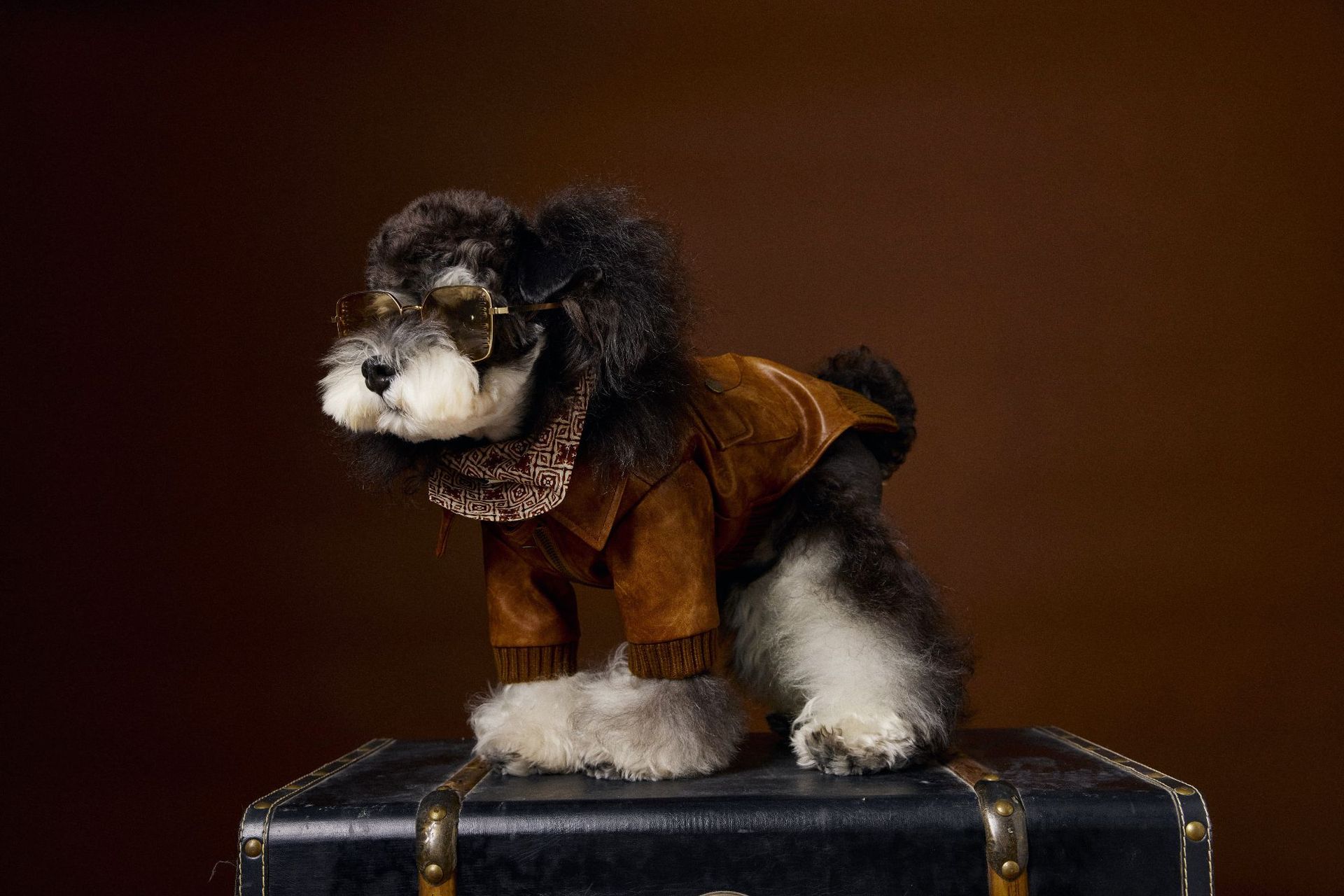 HKM-6532157 Brown Retro Style Long Sleeve PU Leather Coat for Schnauzer and Bichon Pets