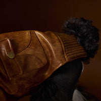 HKM-6532157 Brown Retro Style Long Sleeve PU Leather Coat for Schnauzer and Bichon Pets