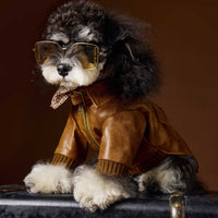 HKM-6532157 Brown Retro Style Long Sleeve PU Leather Coat for Schnauzer and Bichon Pets