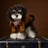 HKM-6532157 Brown Retro Style Long Sleeve PU Leather Coat for Schnauzer and Bichon Pets