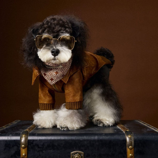 HKM-6532157 Brown Retro Style Long Sleeve PU Leather Coat for Schnauzer and Bichon Pets