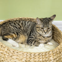 HKM-6533053 Elevated Cat Bed with Scratching Post and Cute Basket Design for Indoor Cats