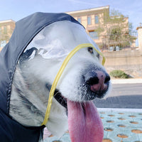 HKM-6535741 Waterproof Pet Raincoat - Lightweight and Portable Polyester Design