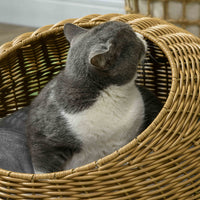 HKM-6541757 Light Brown Rattan Cat Bed with Washable Cushion for Cats and Puppies Under 9 lbs.