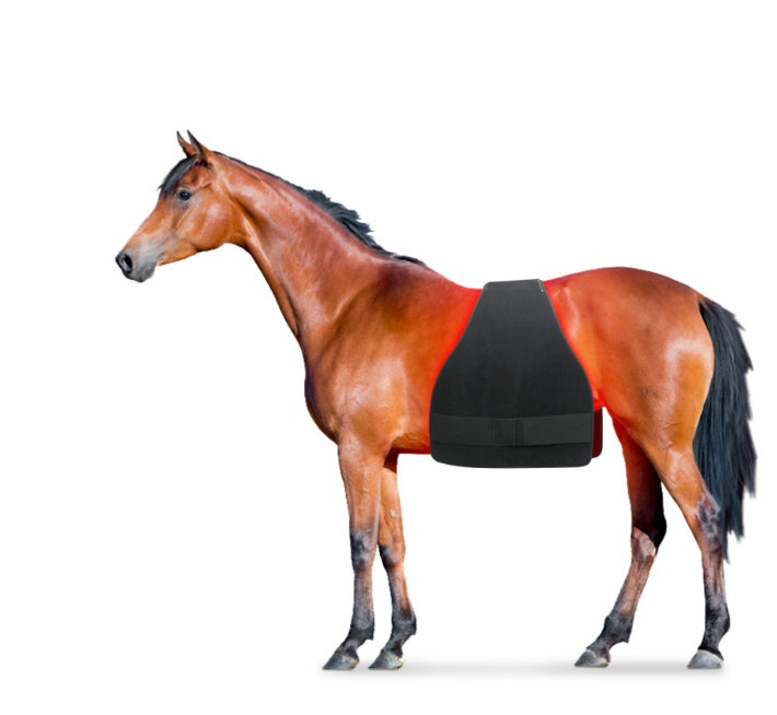 HKM-6542397 High Power Infrared Physiotherapy Pad for Horse Abdomen, Leg, and Back Relief