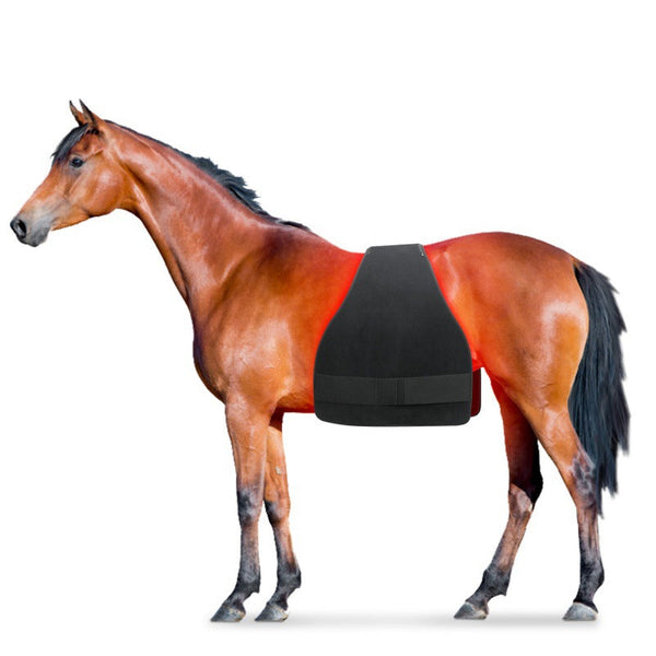 HKM-6542397 High Power Infrared Physiotherapy Pad for Horse Abdomen, Leg, and Back Relief