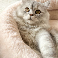 HKM-6543165 Indoor Semi-closed Cat Bed - Striped Linen Cylinder for Comfort & Improved Sleeping
