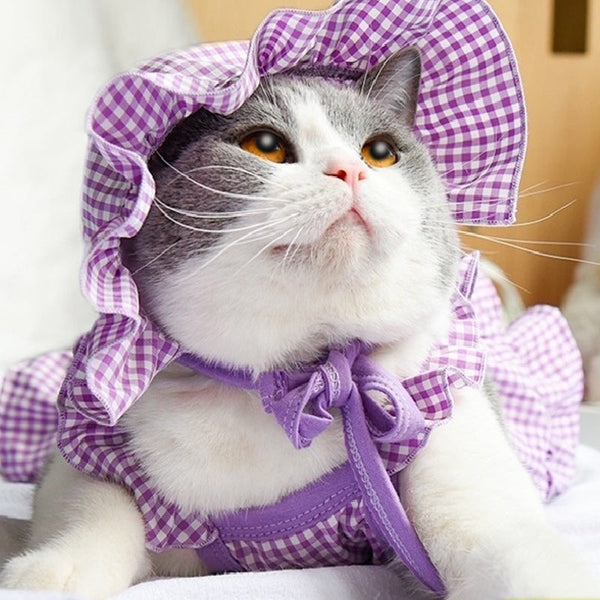 HKM-6548669 Charming Purple & Mint Green Pet Summer Vest for Cats