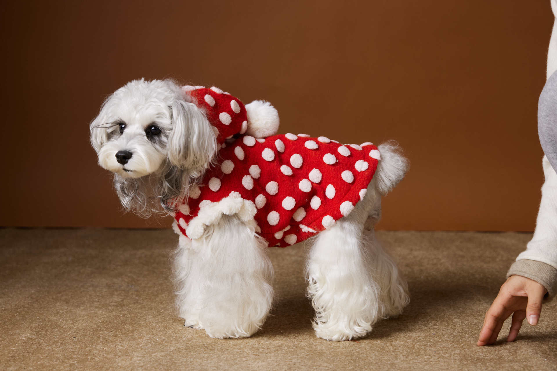 HKM-6554429 Red Polka Dot Sleeveless Hooded Vest Coat for Pets
