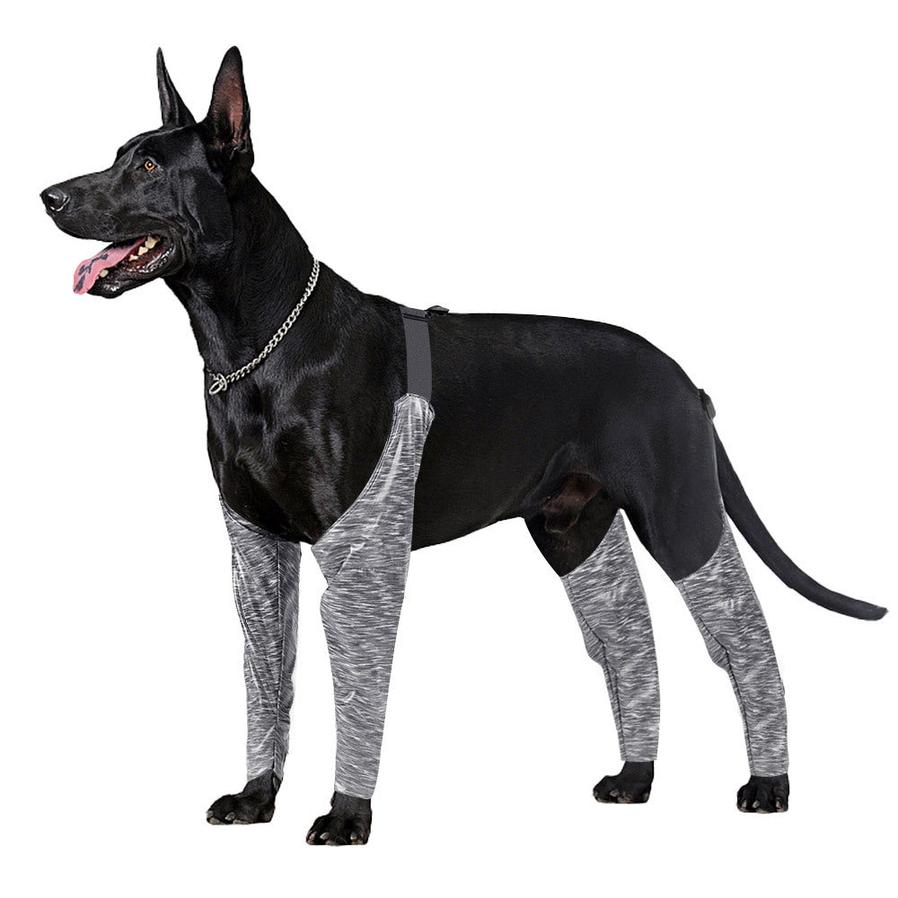 HKM-655827 Outdoor Dog Pants for All-Weather Protection for Active Pets