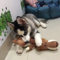 HKM-6565181 Bite-Resistant Plush Dog Toy - Lying Wolf, Elephant, and Lion (28cm)