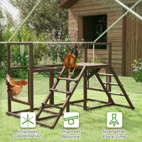 HKM-6565821 Chicken Activity Play Set with Swings, Ladders, and Multi-Level Perches for Enrichment and Exercise