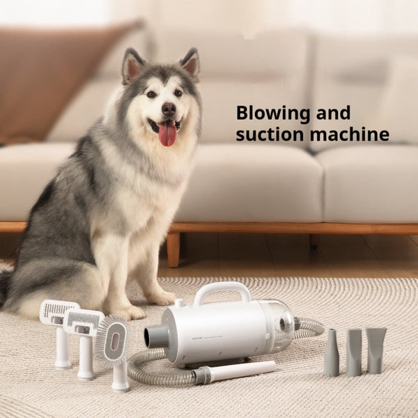 HKM-6565949 Silent Pet Dryer for Efficient Blowing and Sucking, 2000W, 220V Power