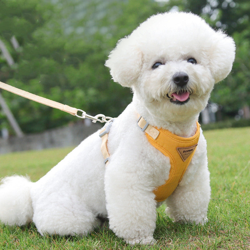 HKM-6569917 Adjustable Mesh Pet Harness and Leash Set for Small Dogs in Green, Blue, Beige, and Yellow