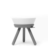HKM-6576061 Ceramic Dog Dining Table Bowl for Drinking and Enjoying Tea