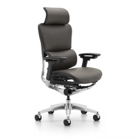 HKM-658067 Ergonomic High-Back Executive Office Chair with Swivel Feature and Leather Upholstery