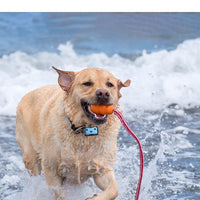 HKM-6581309 Pet Tracking Device for Cats and Dogs - USB Charging, Compact Design