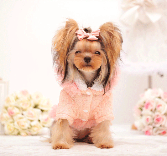 HKM-6587965 Lace Bleaching Velvet Jacket in White and Pink Meat - Comfortable and Stylish Design