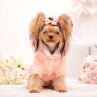 HKM-6587965 Lace Bleaching Velvet Jacket in White and Pink Meat - Comfortable and Stylish Design