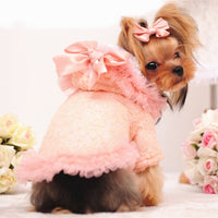 HKM-6587965 Lace Bleaching Velvet Jacket in White and Pink Meat - Comfortable and Stylish Design