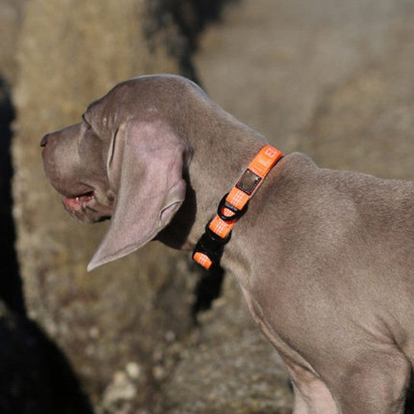 HKM-6589373 Dog Neck Diving Foam Collar - 3M Reflective, Adjustable Size Options in Orange, Gray, Green, Black