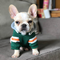 HKM-6591549 Fleece Pet Sweater in Red and Green - Soft Cotton and Polyester Blend, Multiple Sizes Available