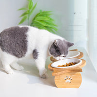 HKM-6593341 Bamboo Cat Bowl with Porcelain and Stainless Steel Inserts, Eco-Friendly Design