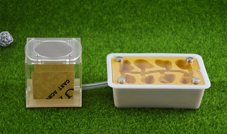 HKM-6597949 Pet Ant Flat Gypsum Nest with Feeding Box - Yellow, 17.5x5x12.5cm, 10mm Aperture