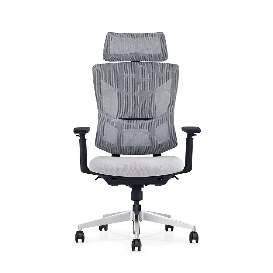 HKM-660051 Ergonomic Mesh Office Chair with Adjustable Armrests for Home and Executive Use