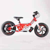 HKM-660179 12 inch Electric Dirt Bike with 250W Motor and Aluminum Alloy Frame for Kids