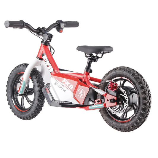 HKM-660179 12 inch Electric Dirt Bike with 250W Motor and Aluminum Alloy Frame for Kids