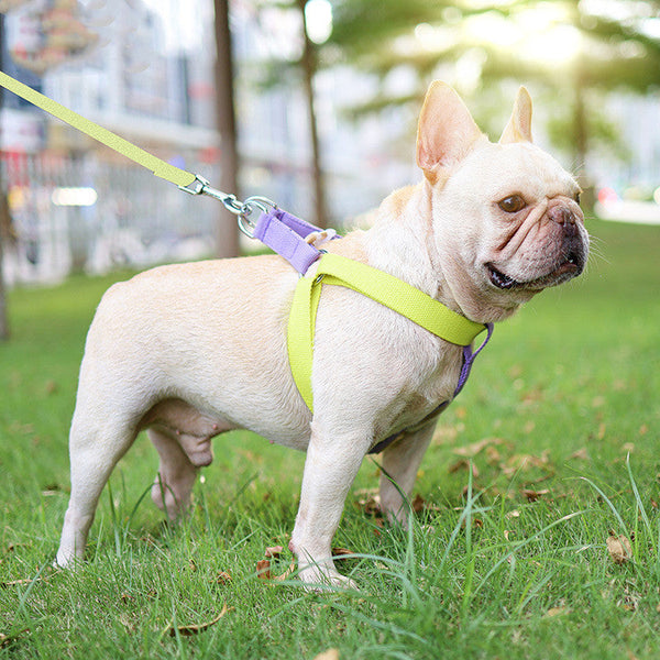 HKM-6602173 Drawstring Adjustable Chest Strap Dog Leash with Polyester Cotton Material