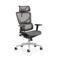 HKM-660371 Ergonomic Mesh Office Chair for Staff and Manager with Adjustable Lumbar Support