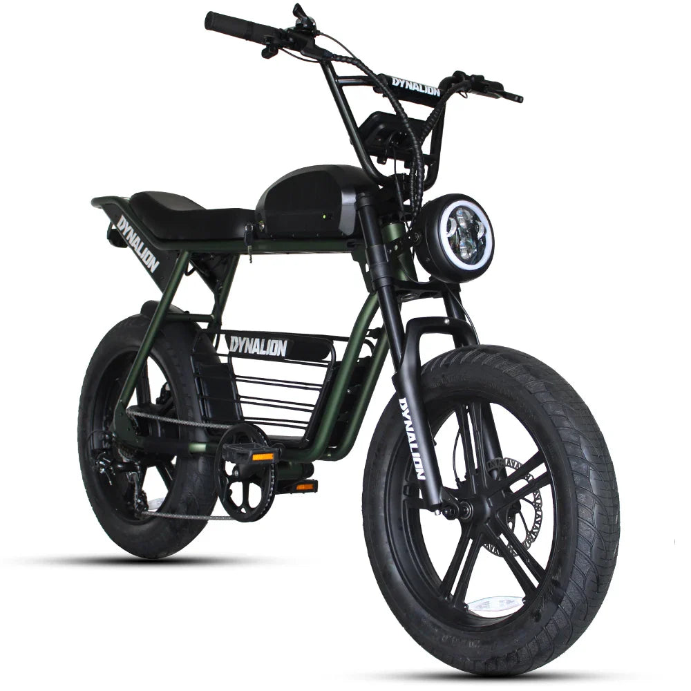 HKM-660691 Retro 48V 1000W Electric Hybrid Bike with 7-Speed Gears and Hydraulic Disc Brakes - Mountain Fat Tire E-Bike