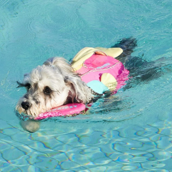 HKM-6607421 Dog Life Vest for Large Breeds - Pink, Available in Sizes S, M, L
