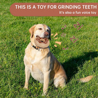 HKM-6610109 Durable Chewy Donut Dog Toy for Teeth Grinding, Interactive Play, and Squeaky Fun for All Breeds